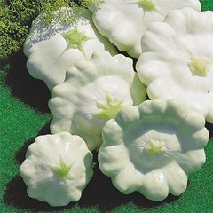 Патиссон белый Украина     