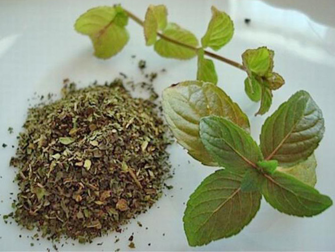 заготовить мяту на зиму